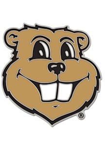 Minnesota Golden Gophers Souvenir Collector Lapel Pin -