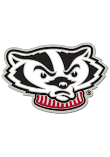 Wisconsin Badgers Souvenir  Pin -