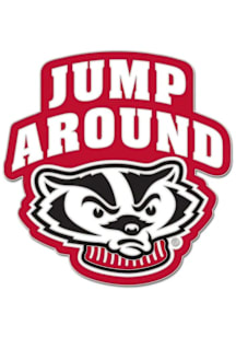 Wisconsin Badgers Souvenir  Pin -