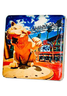 Detroit Comerica Tiger 4x4 Coaster
