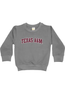 Texas A&amp;M Aggies Youth Grey Arched Wordmark Long Sleeve Crew Sweatshirt