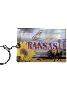 Kansas 3D Keychain