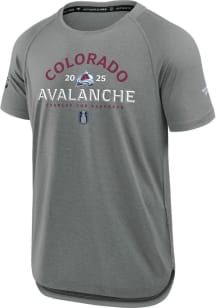 Colorado Avalanche Ash 2025 Playoff Participant Short Sleeve T Shirt