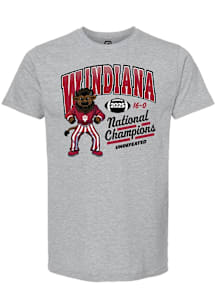 Summit Sportswear Indiana Hoosiers Grey 2025 CFP National Champions WINDIANA Arch Short Sleeve T S..