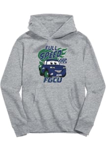 Vive La Fete Florida Gulf Coast Eagles Youth Grey Full Speed Long Sleeve Hoodie