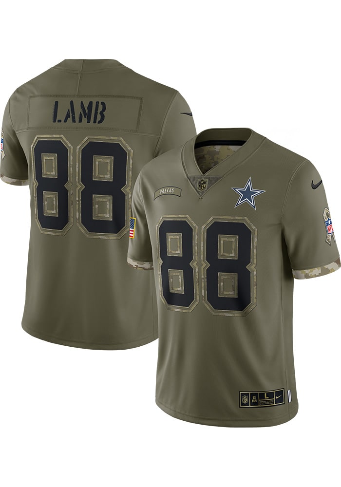 Nike Dallas Cowboys No19 Amari Cooper Olive/Camo Men's Stitched NFL Limited 2017 Salute To Service Jersey