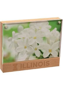 Illinois Fighting Illini Beachwood Photo Frame Picture Frame - Orange