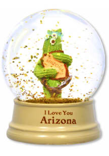 Arizona Illustrated by Erik Drohman Water Globe