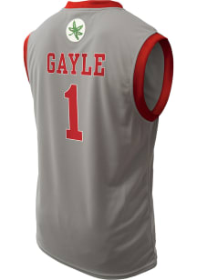 Roddy Gayle Jr.   Ohio State Buckeyes Grey NIL Basketball Jersey