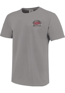 Arkansas Razorbacks Youth Grey Wooo Pig Sooie Short Sleeve T-Shirt