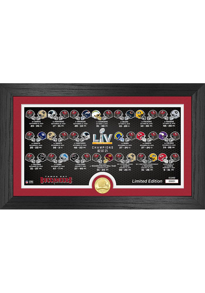 Tampa Bay Buccaneers Super Bowl LV Victory Bronze Coin Panoramic Photo Mint Plaque