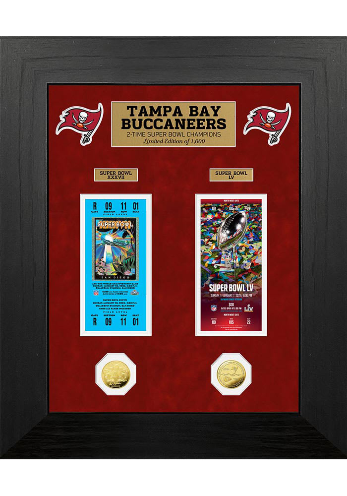 Tampa Bay Buccaneers Super Bowl Ticket Collection Plaque - Sports