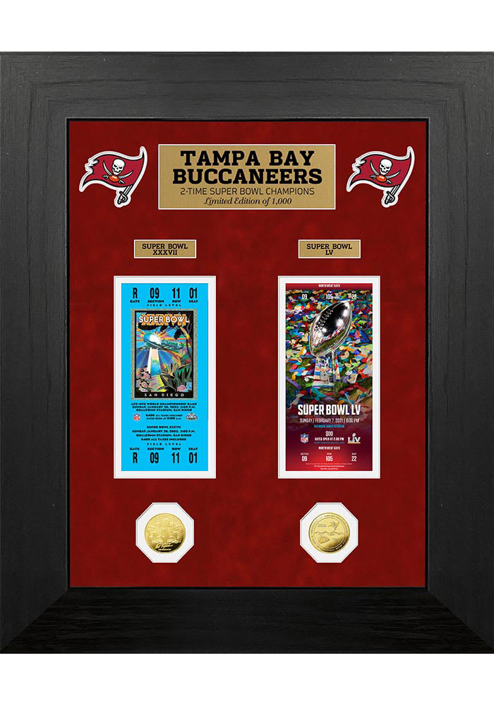 Tampa Bay Buccaneers 2-Time Super Bowl Champions Ticket Collection Plaque