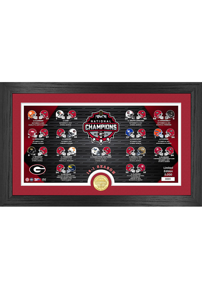 Highland Mint 2021 National Champions Georgia Bulldogs Banner Frame