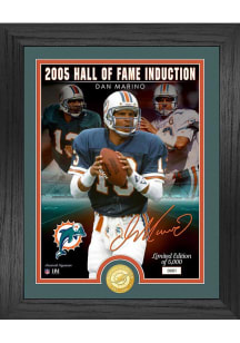 Dan Marino Miami Dolphins Hall of Fame Induction Photo Plaque