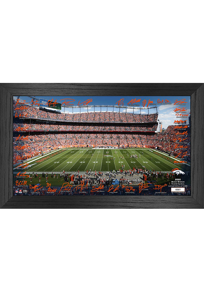 NFL - Denver Broncos Football Field Runner 30x72