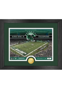 New York Jets Stadium Silver Coin and Photo Plaque