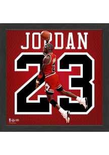 Chicago Bulls Jordan Impact Framed Posters