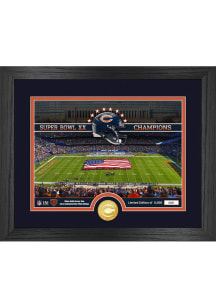 Chicago Bears Stadium Silver Coin and Photo Plaque