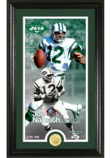 Joe Namath New York Jets Hall of Fame Induction Bronze Coin Photo Plaque