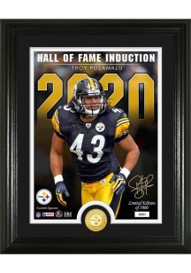 Troy Polamalu Pittsburgh Steelers Hall of Fame Signature Series Photo Plaque