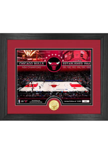 Chicago Bulls Stadium PM Plaque