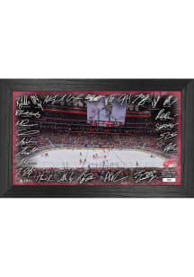 Detroit Red Wings Signature Rink Picture Frame