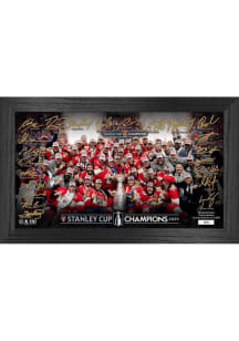 Florida Panthers NHL Stanley Cup Champions 2024 Traditional Ice Picture Frame