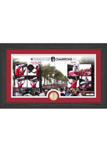Florida Panthers NHL Stanley Cup Champions 2024 Parade Plaque