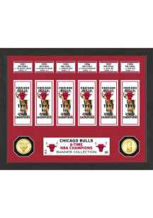 Chicago Bulls Banner Bronze Coin Photo Mint Plaque