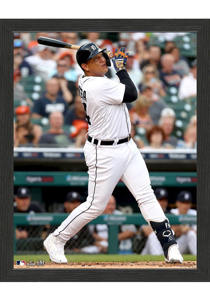 Detroit Tigers Player Action Picture Frame