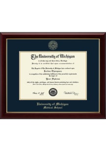 Michigan Wolverines Medical Picture Frame