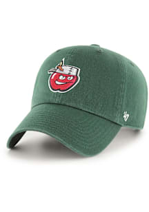 47 Fort Wayne TinCaps Primary Logo Clean Up Adjustable Hat - Green