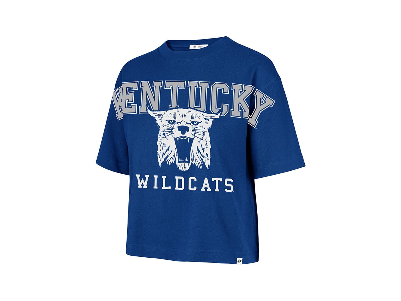 NCAA Mascot Area Rugs