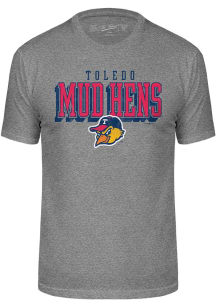 Toledo Mud Hens Grey City Team Logo Short Sleeve Fashion T Shirt