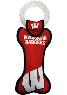 Wisconsin Badgers  Pet Toy