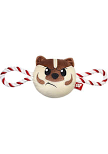 Wisconsin Badgers  Pet Toy
