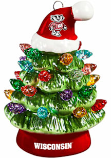 Wisconsin Badgers  Decor