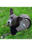 Philadelphia Eagles Team Logo Hoodie Pet T-Shirt