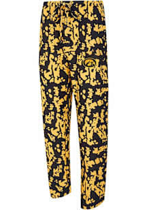 Mens Iowa Hawkeyes Black Concepts Sport Striped Multi-Color Loungewear Sleep Pants