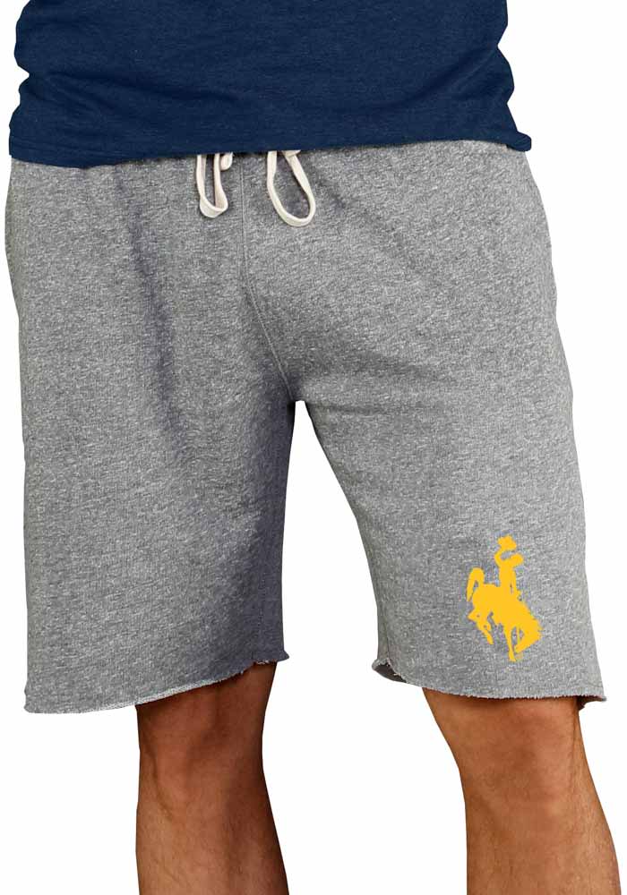 Wyoming Cowboys Mens Grey Mainstream Shorts
