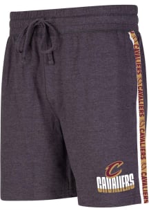 Cleveland Cavaliers Mens Charcoal Team Stipe Short Shorts