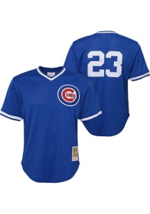 Ryne Sandberg  Mitchell and Ness Chicago Cubs Youth Blue MLB Player Jersey