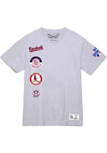 Mitchell and Ness St Louis Cardinals Grey CITY COLLECTION SS TEE Short Sleeve T Shirt