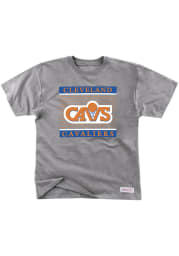 Mitchell and Ness Cleveland Cavaliers Grey Charity Stripe Short Sleeve Fashion T Shirt