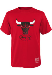 Mitchell and Ness Chicago Bulls Youth Red Retro Logo Short Sleeve T-Shirt