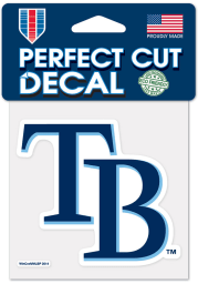Tampa Bay Rays 4x4 inch Auto Decal - Blue