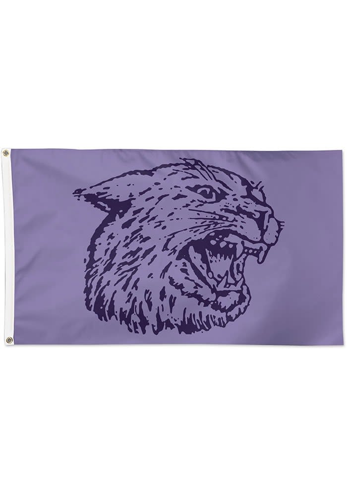 Tennessee Titans WinCraft 3' x 5' Pride 1-Sided Deluxe Flag