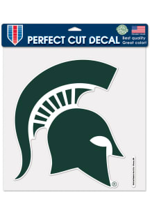 Michigan State Spartans Green  12x12 Decal