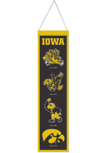Iowa Hawkeyes 8X32 Evolution Banner